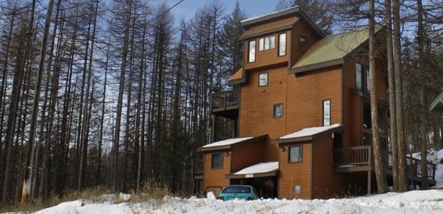 Lodgepole