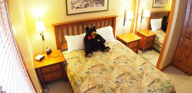 Timberline Village