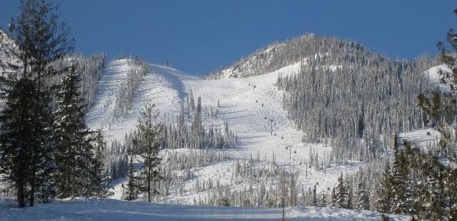 Palliser Lodge