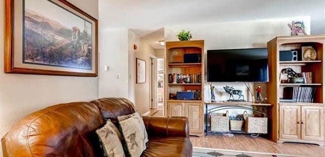 Ski Hill Condos
