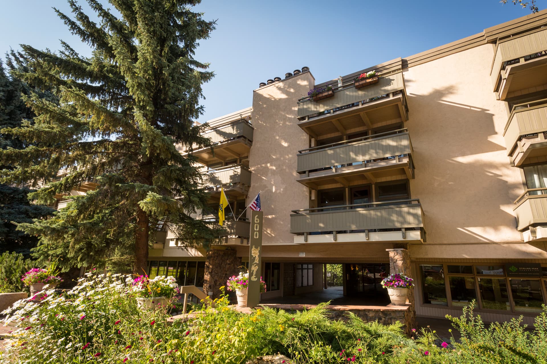 aspen_concept600_8-1-8.jpg