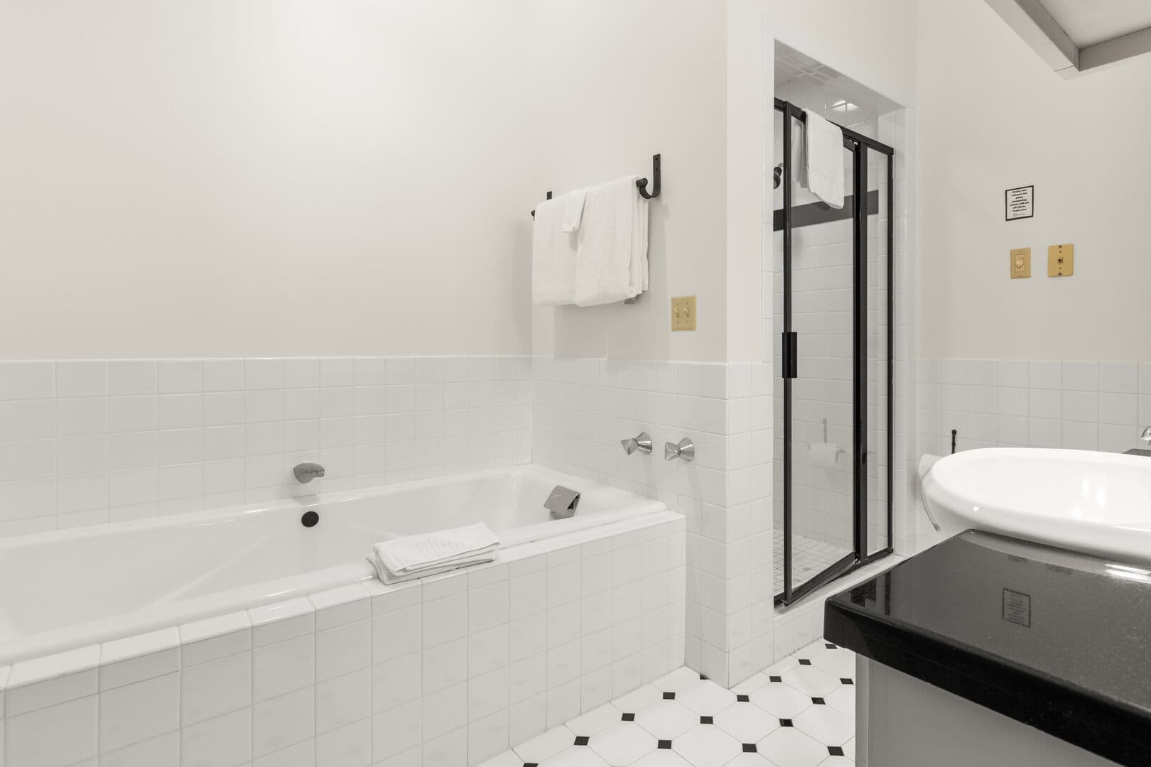 Master Bath Jacuzzi Tub