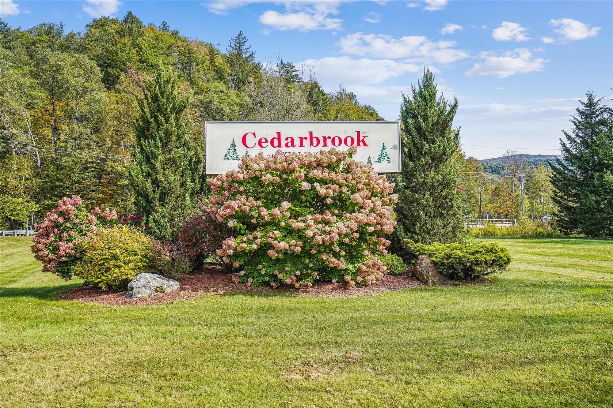 Welcome to Cedarbrook!