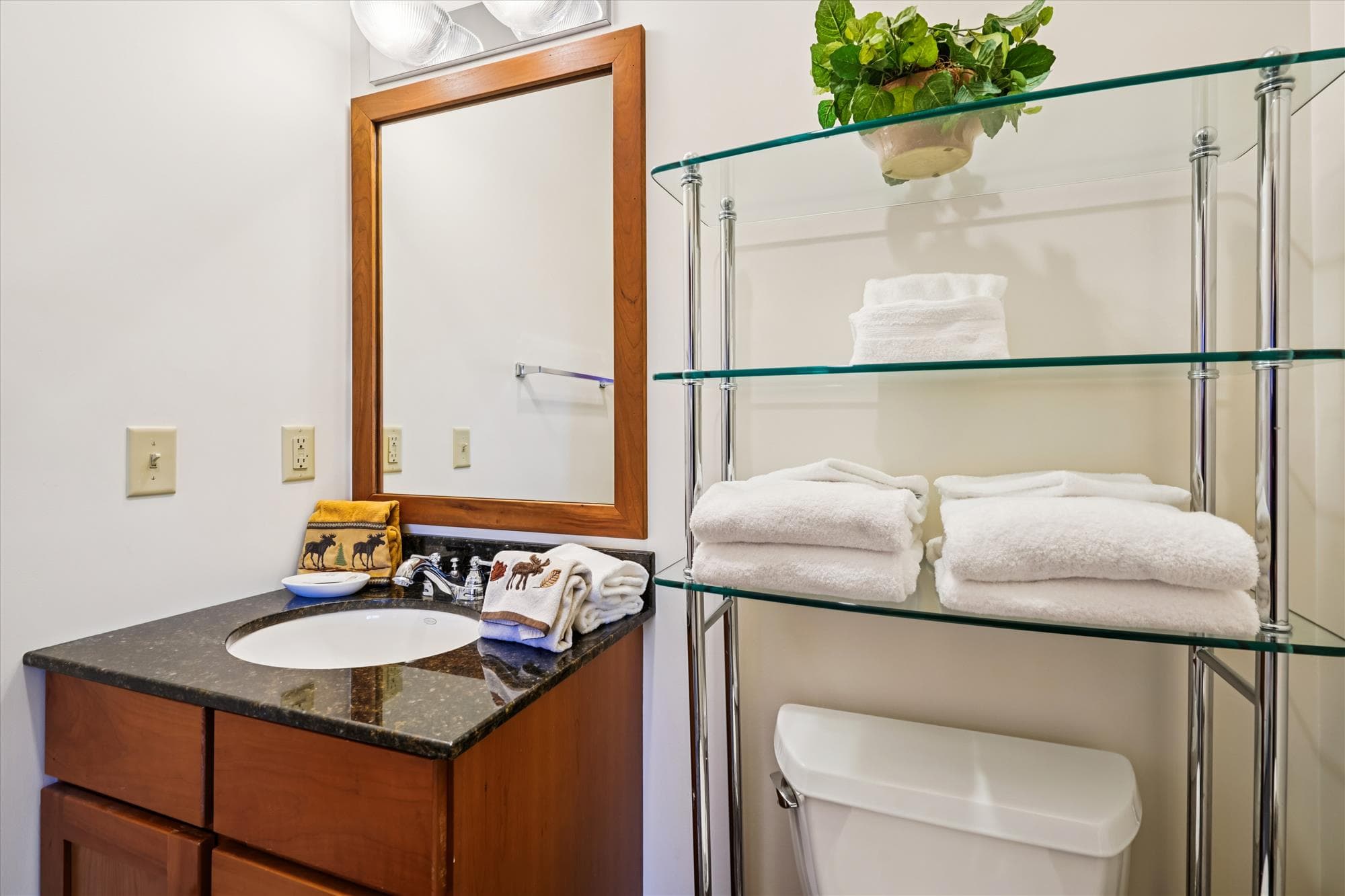 Full bathroom with walk-in shower and granite vanity, located beside the queen bedroom.