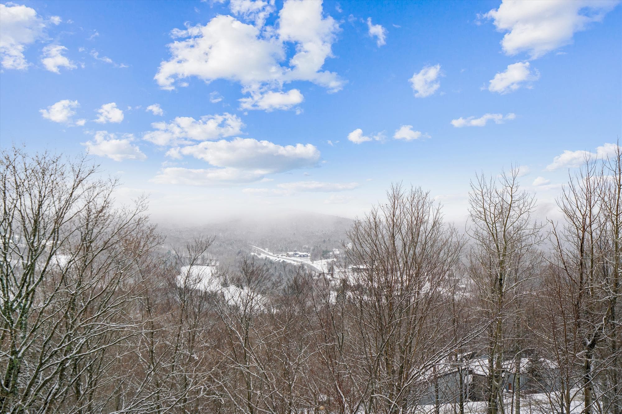 Beautiful mountain views overlooking the surrounding trees and valley from the Highridge property.