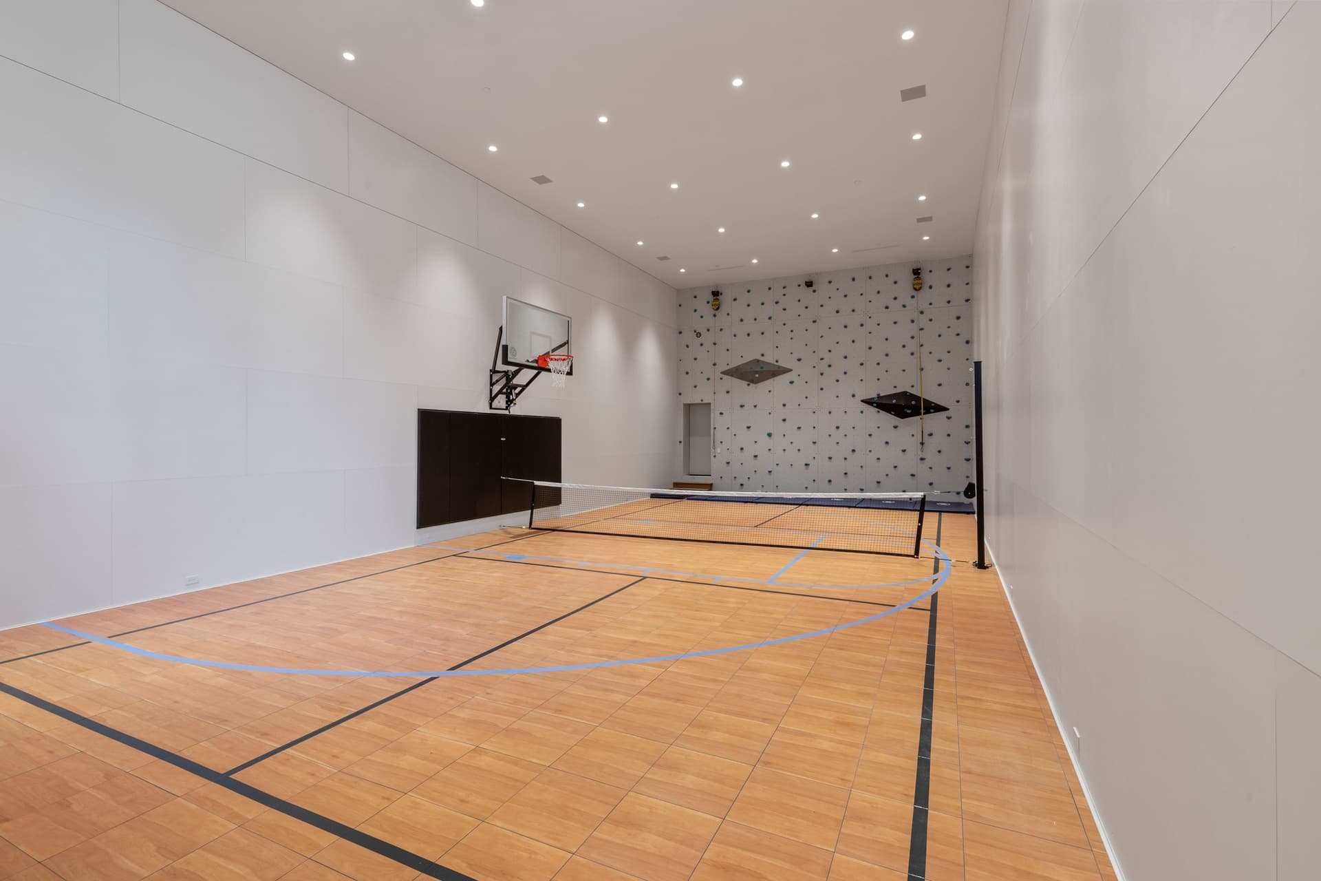 Spacious and Fun Sports Court with Climbing Wall Features.