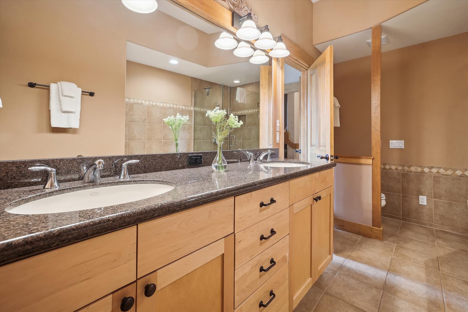 Bathroom, Alpine Vista Retreat, Breckenridge Vacation Rental