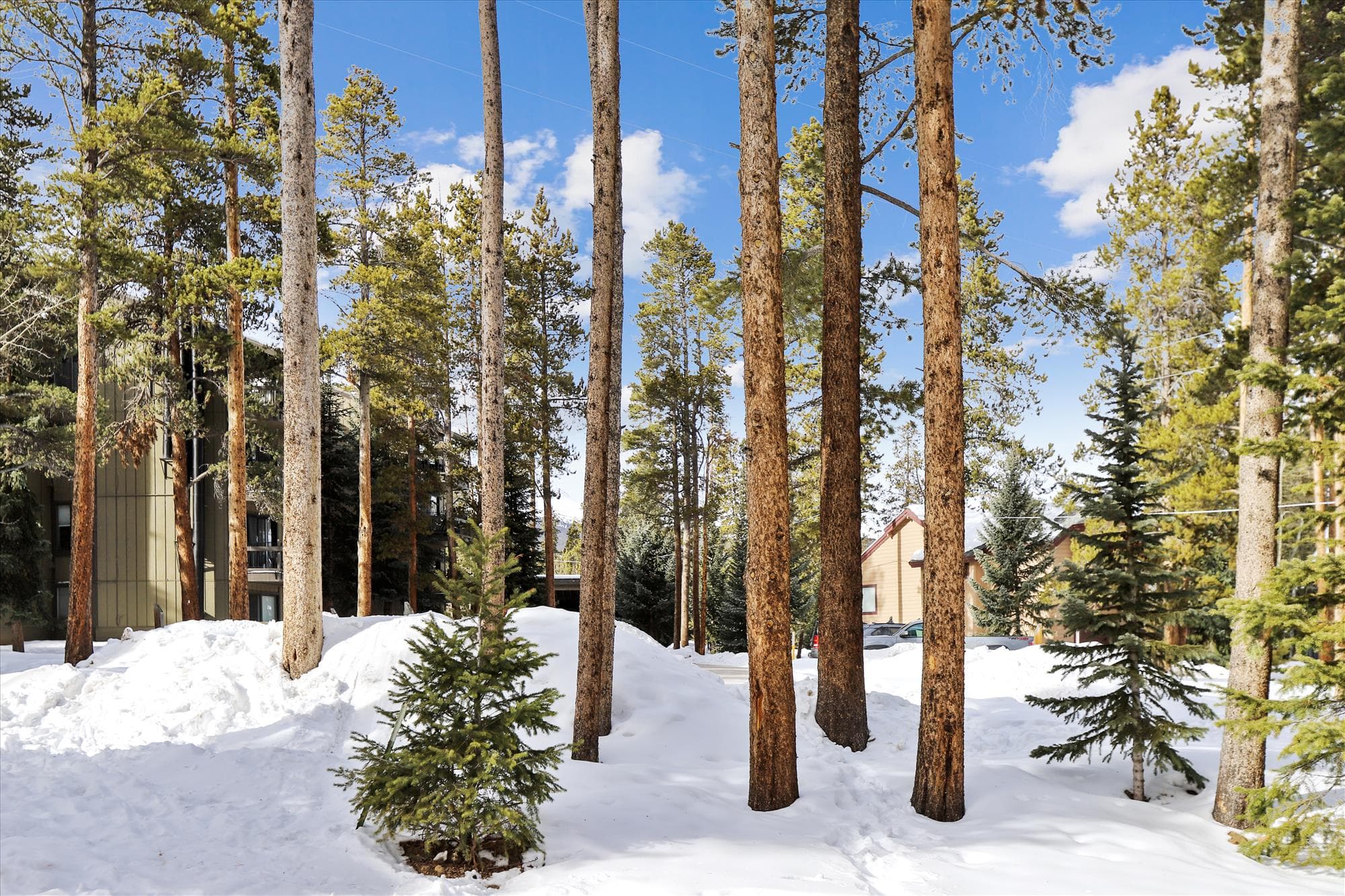 Exterior - Park Forest Chalet - Breckenridge Vacation Rental