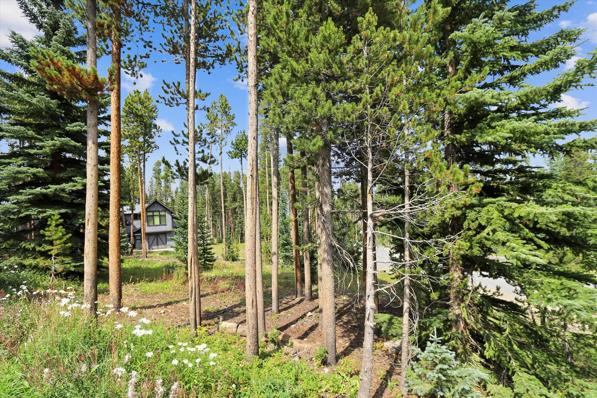 Exterior, The Duck House, Breckenridge Vacation Rental