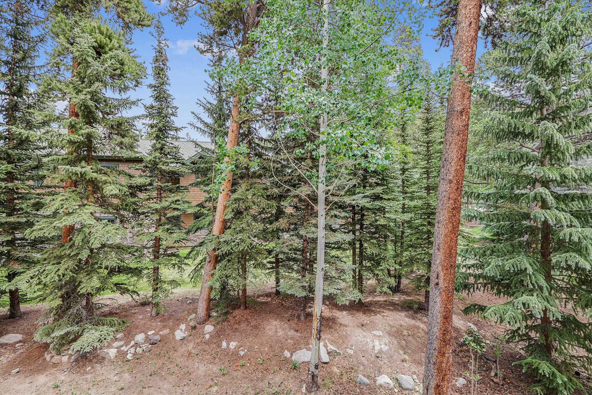 Exterior - Powder Ridge 108 - Breckenridge Vacation Rental