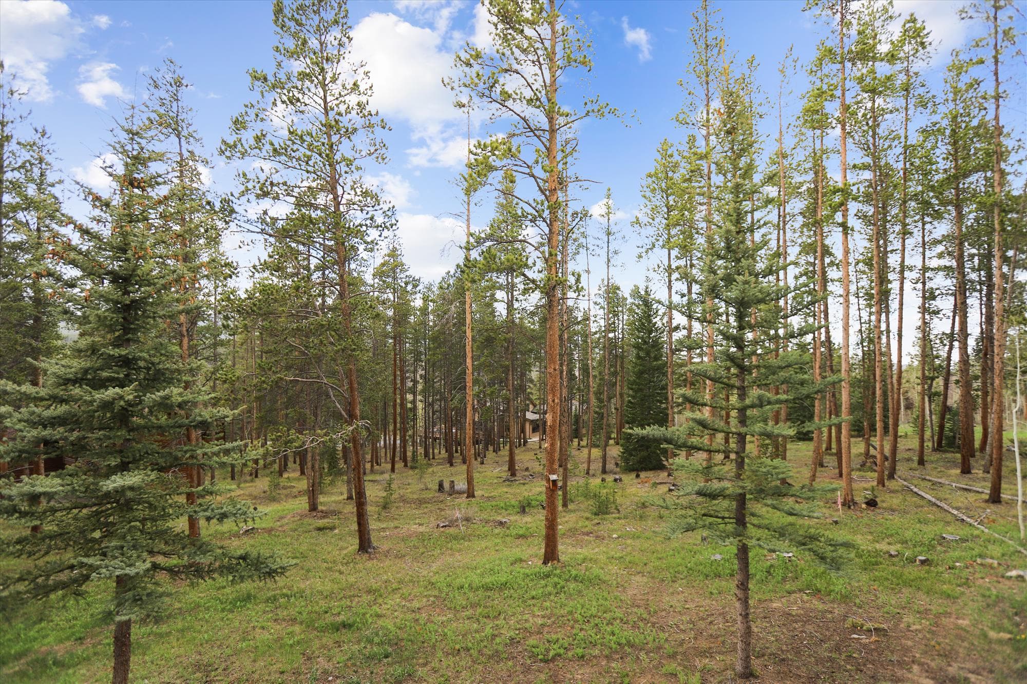 Exterior - Evergreen Lodge - Breckenridge Vacation Rental