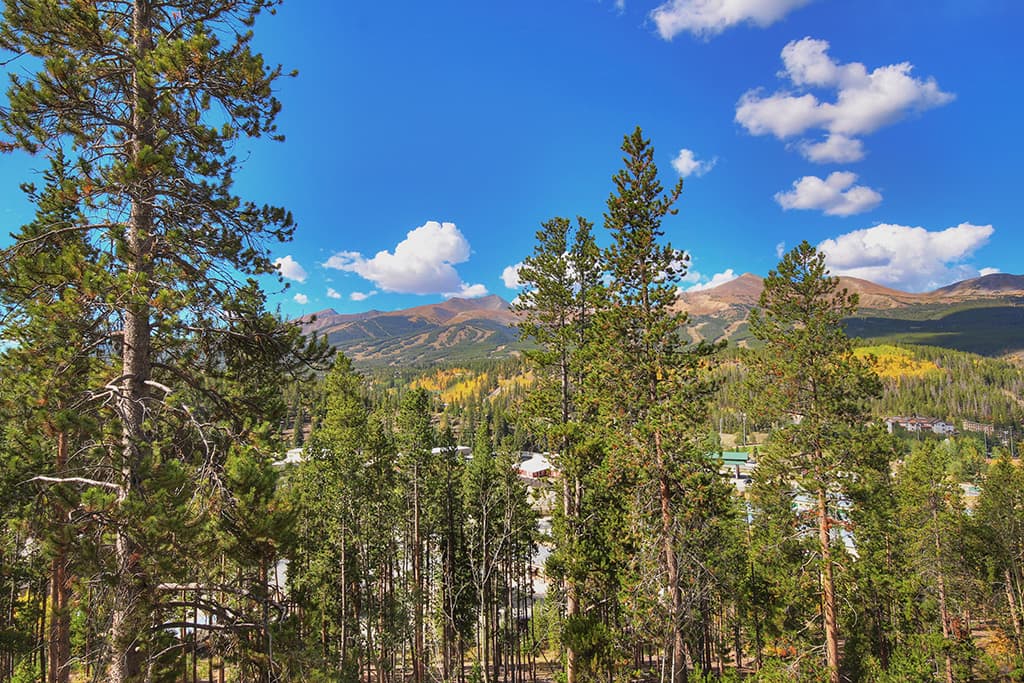 Exterior - Breck Escape - Breckenridge Vacation Rental