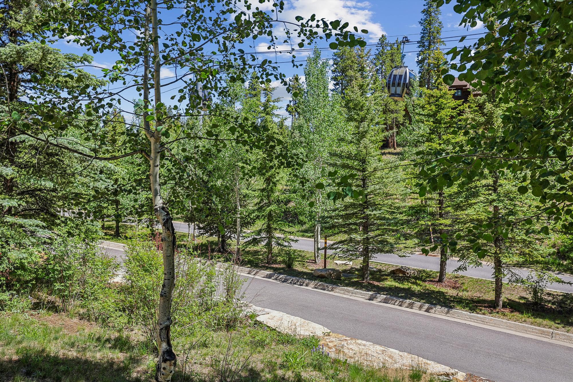 Exterior - Cucumber Patch 60 - Breckenridge Vacation Rental