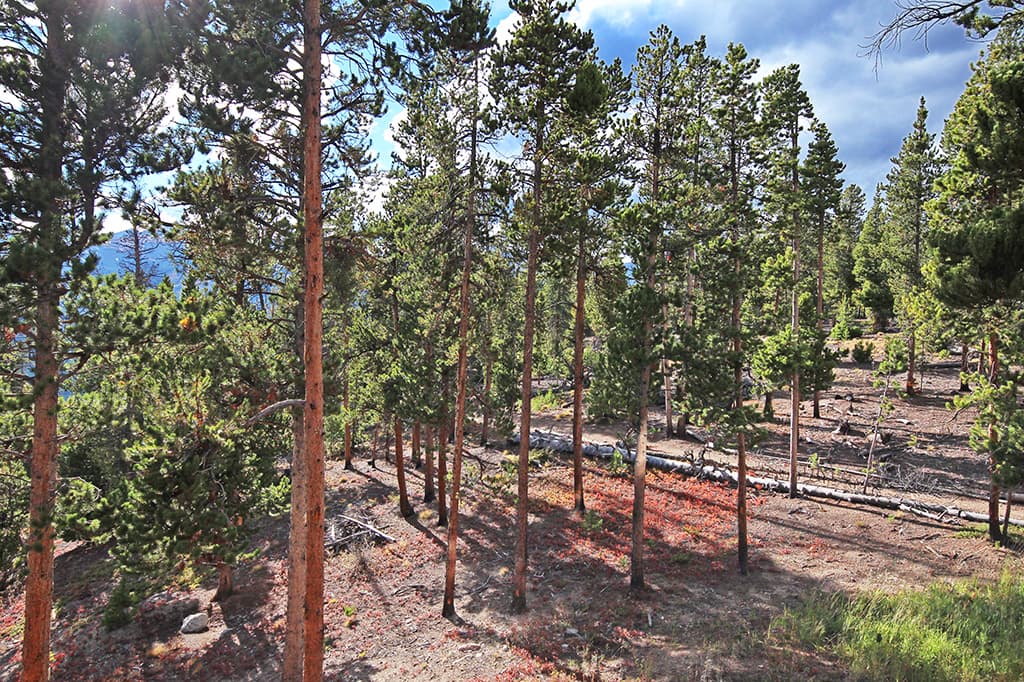 Exterior - Dunkin Hill Lodge - Breckenridge Vacation Rental