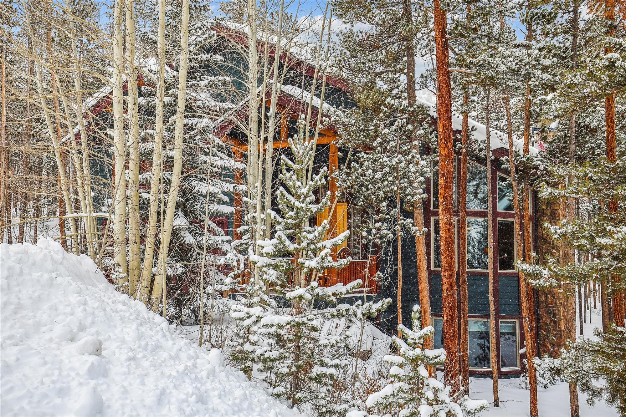 Exterior - Lupine Chalet - Frisco Vacation Rental
