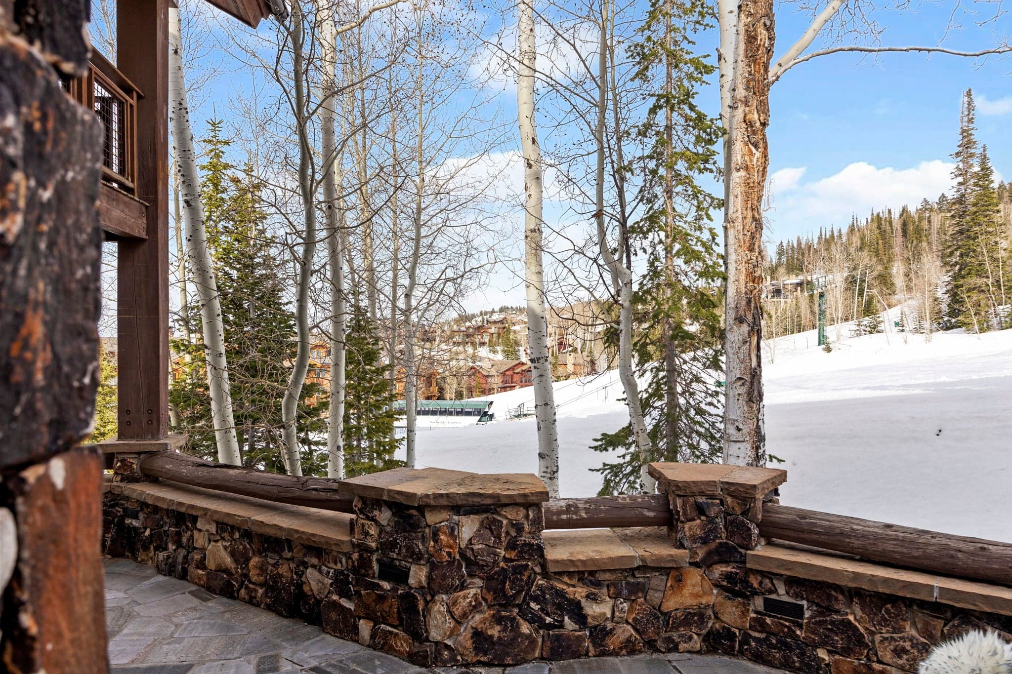 view from back yard of ski runs