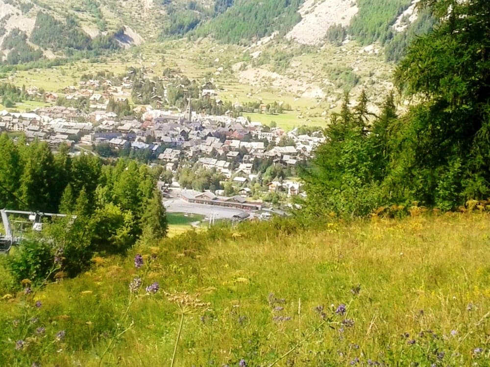 City View