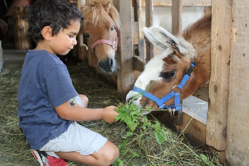 Children’s Activities