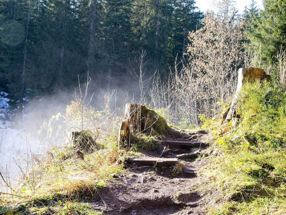 Hiking