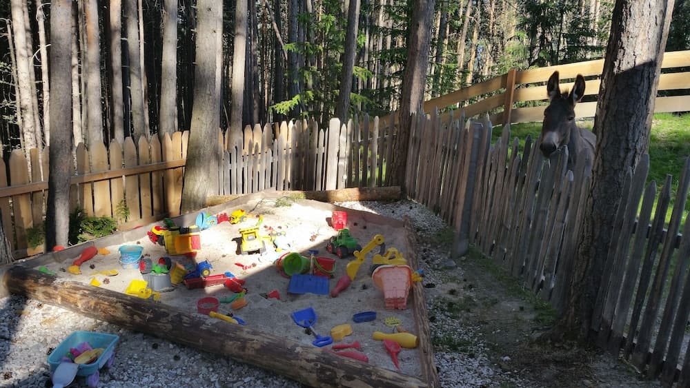 Children’s Activities