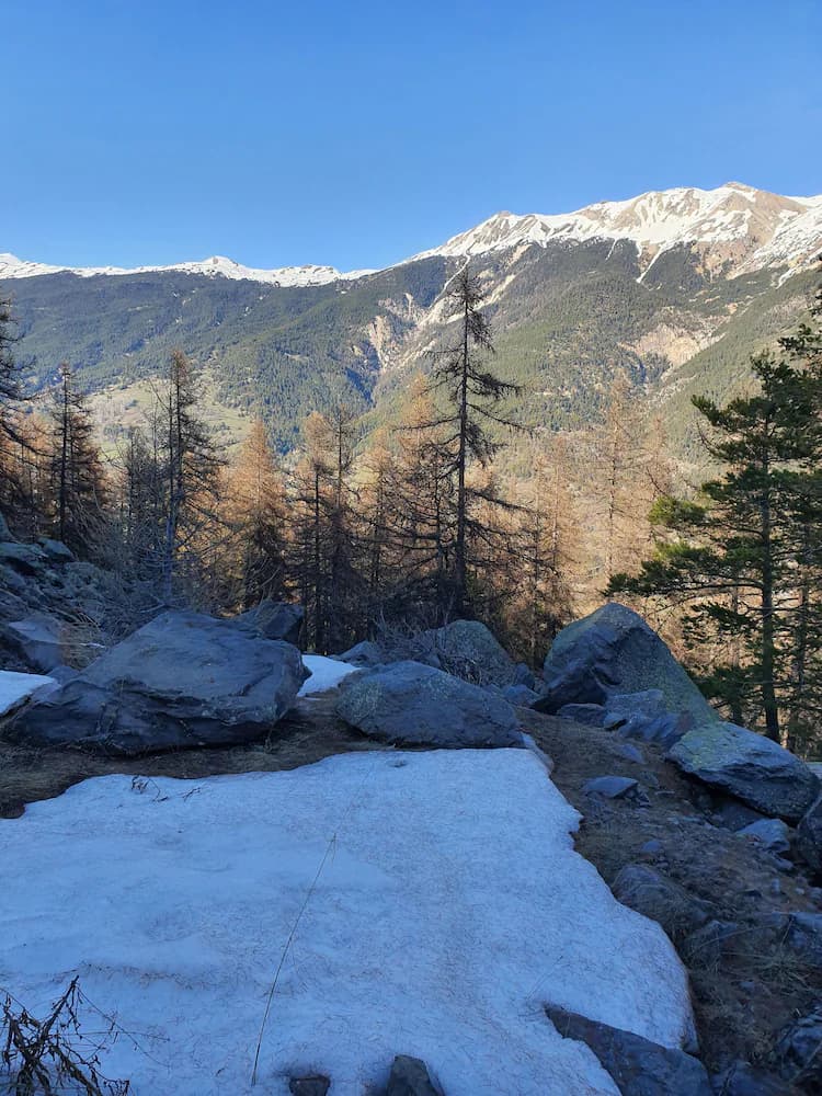 Hiking