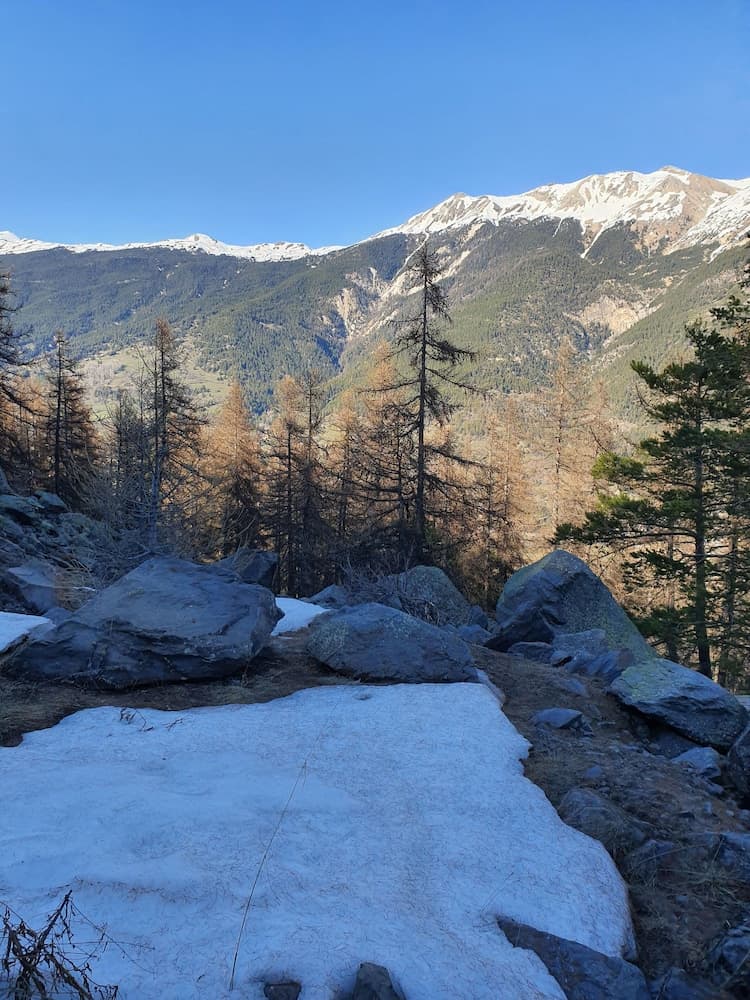 Hiking