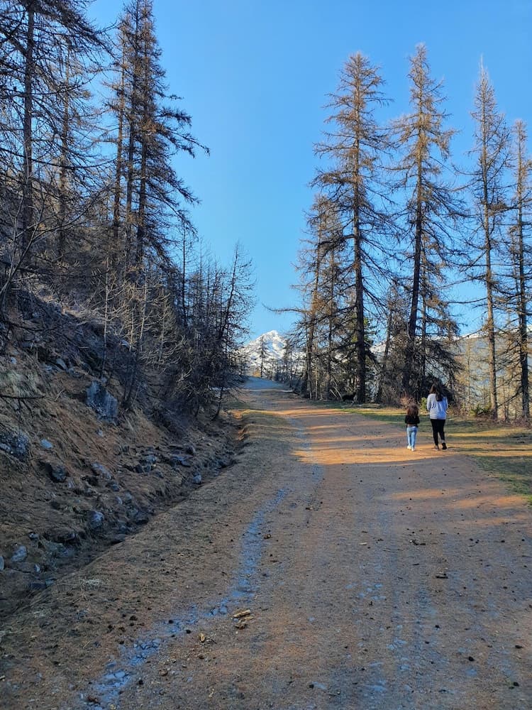 Hiking