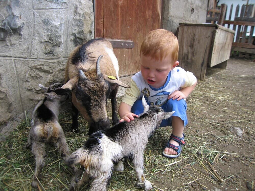 Children’s Activities