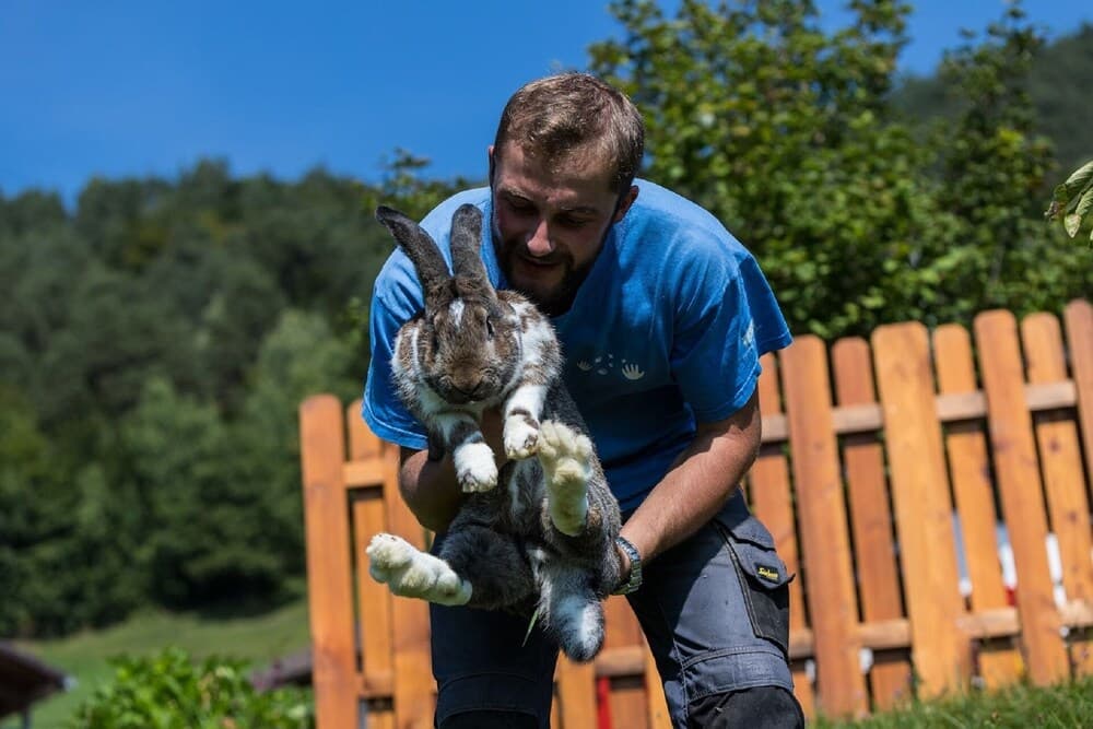 Children’s Activities