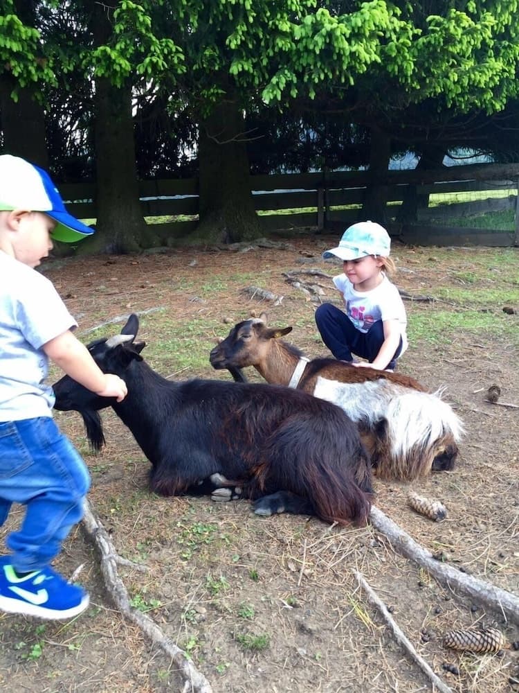 Children’s Activities