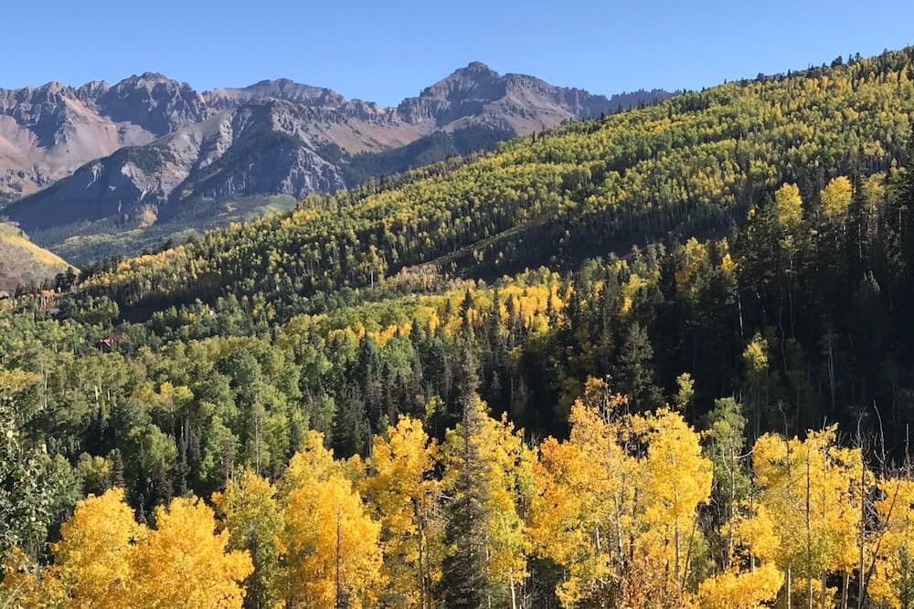 View from property