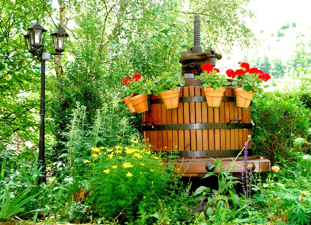 Garden