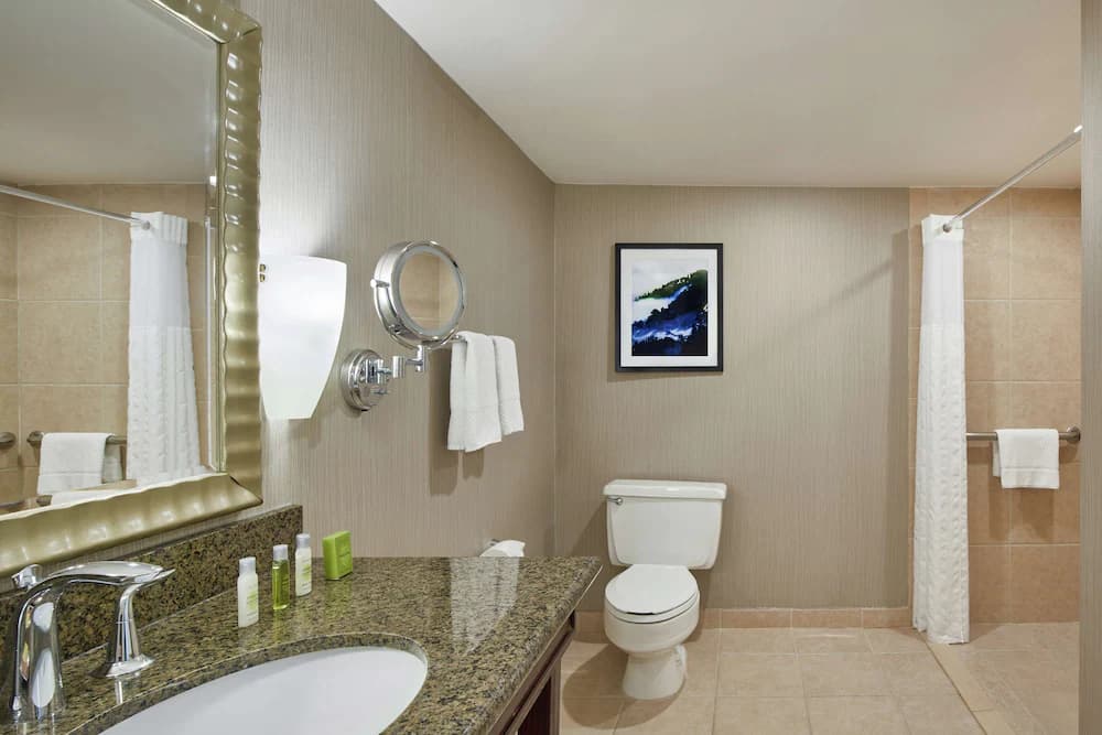 Bathroom shower