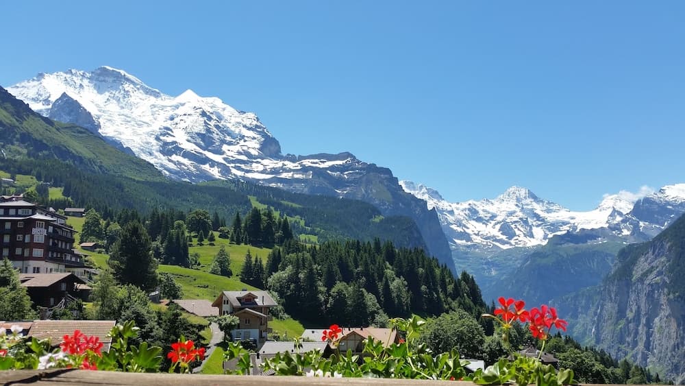 View from property