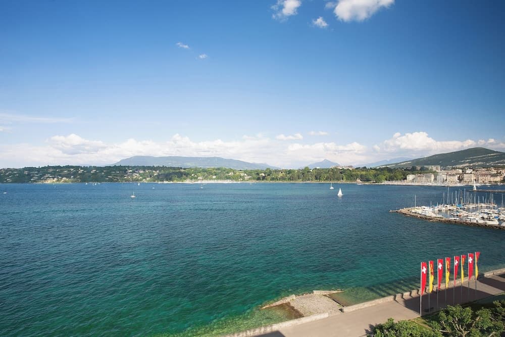 Lake view