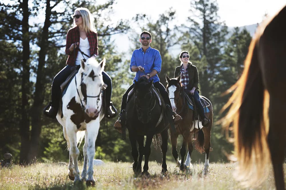 Horseback riding