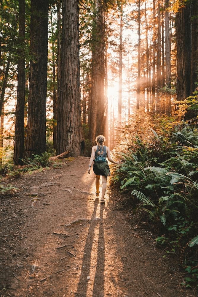 Hiking