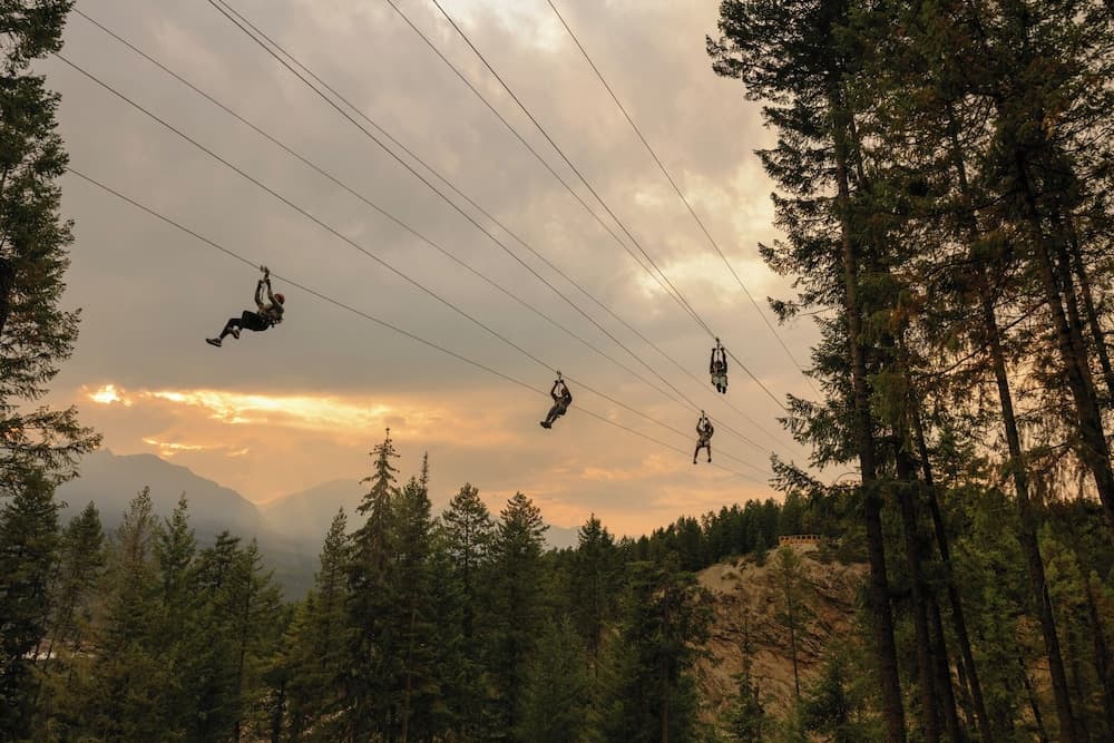 Primary image