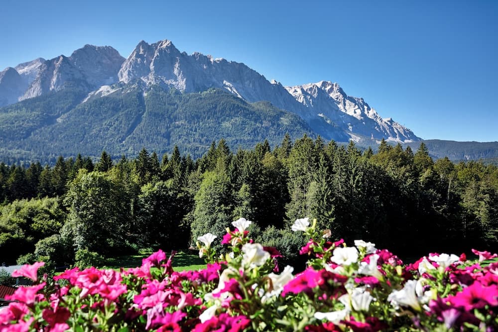 Mountain view