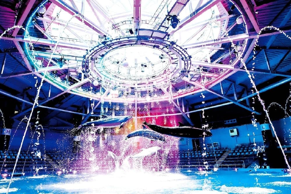 Aqua center