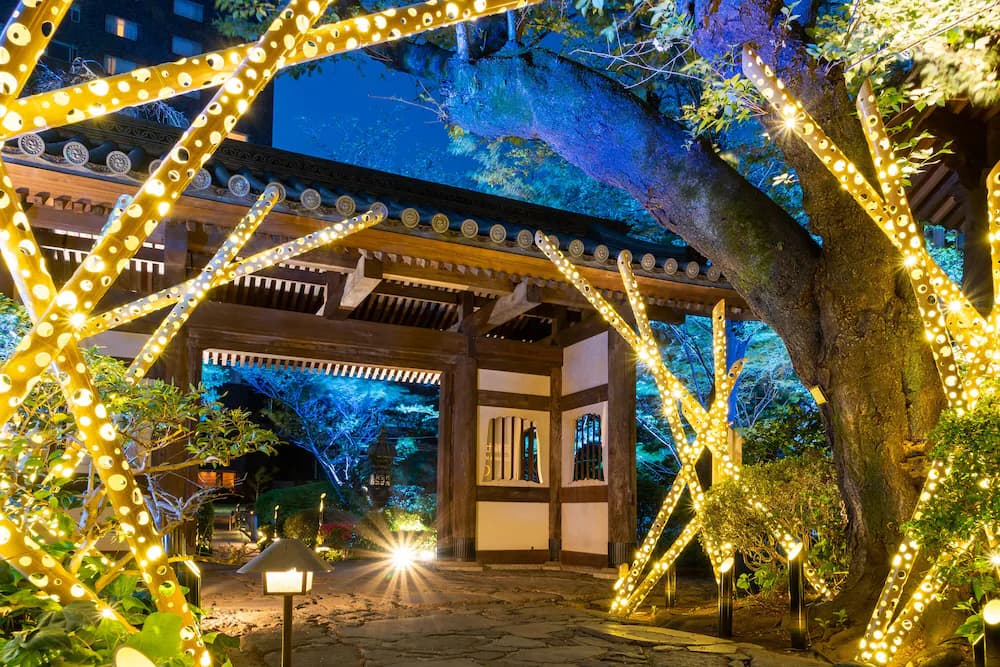 Japanese garden