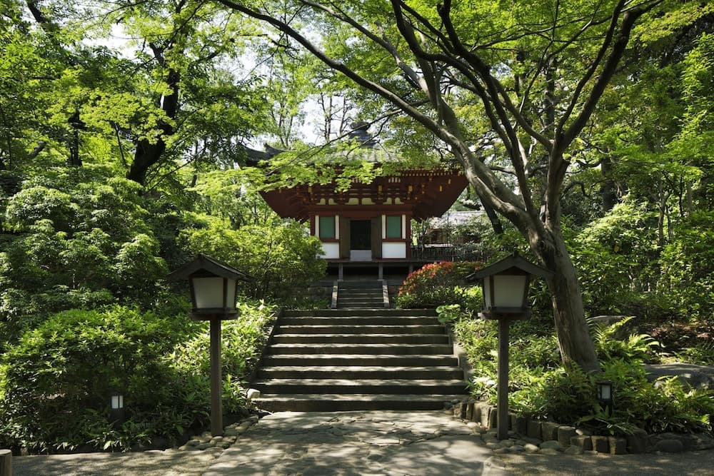 Japanese garden