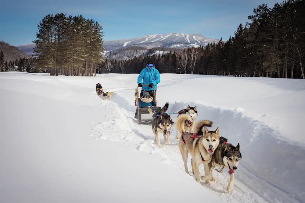 Sledding