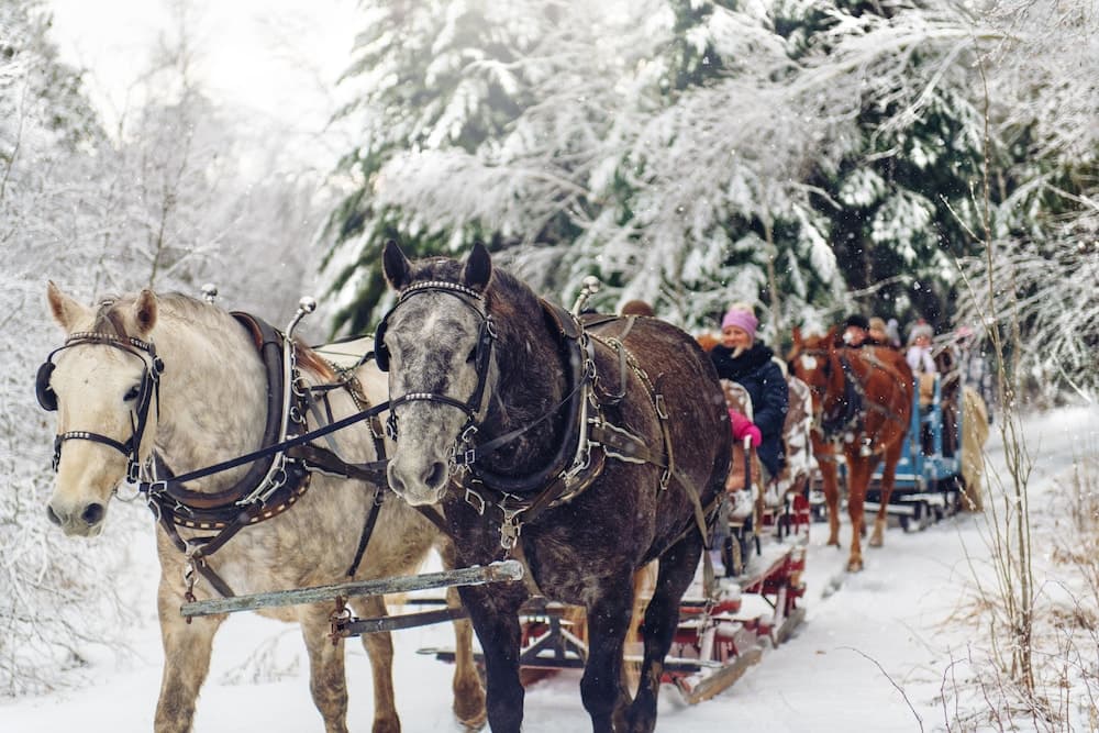 Horseback riding