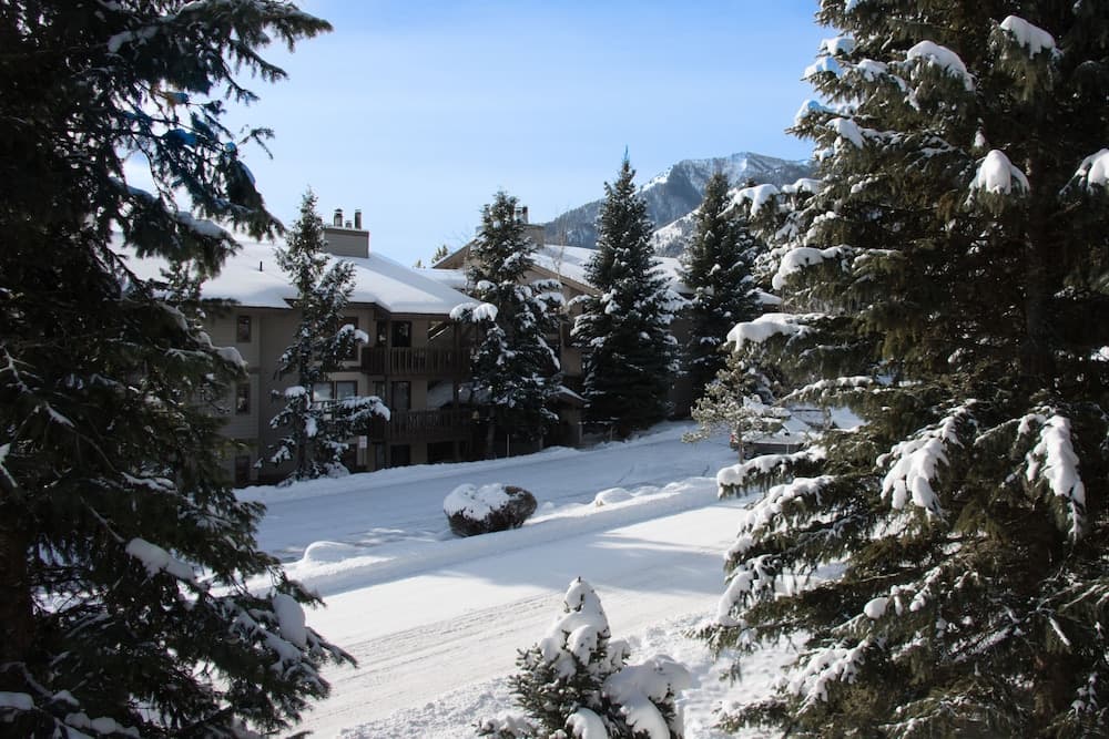 Mountain view