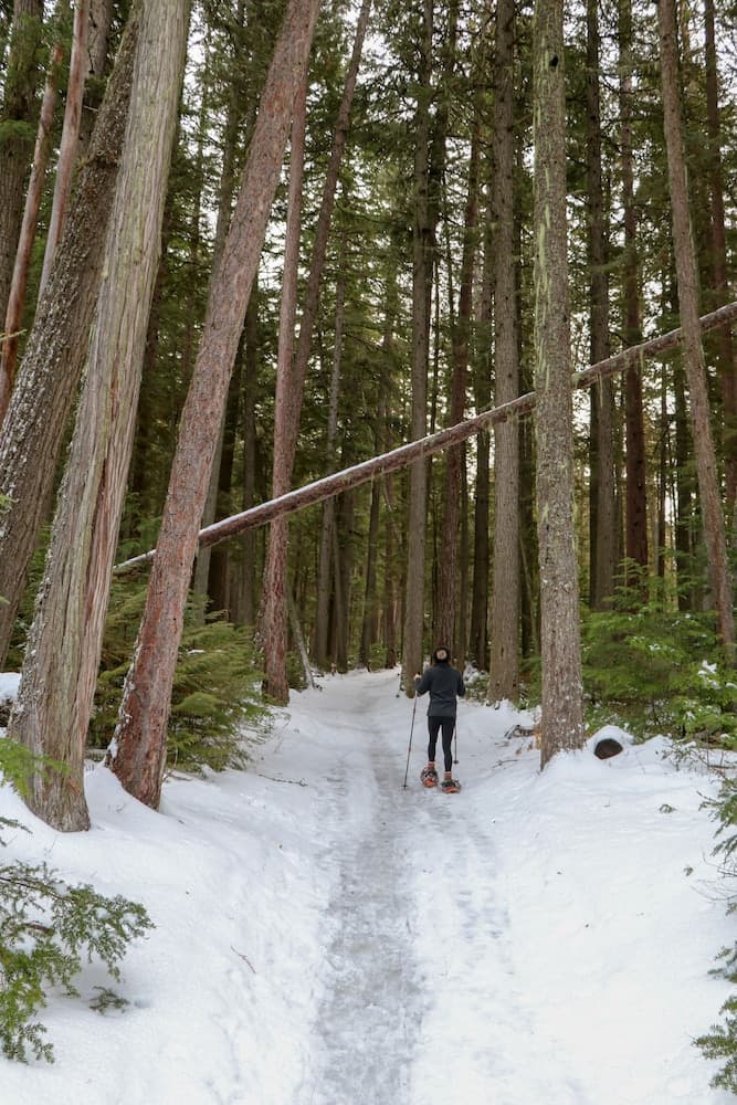 Snowshoeing