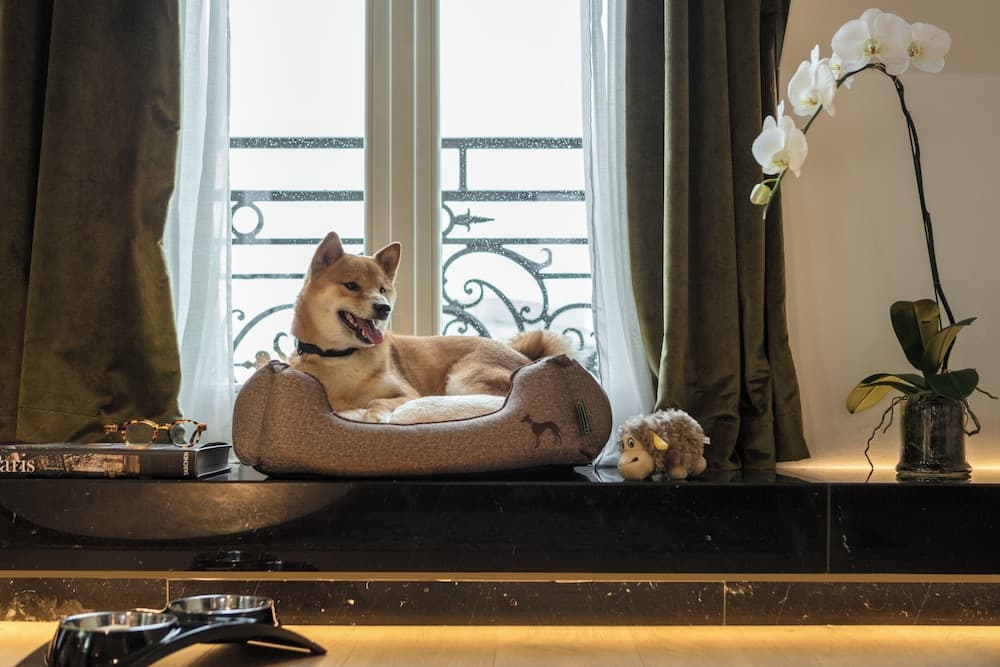Pet-friendly