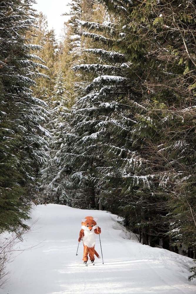 Snow and ski sports