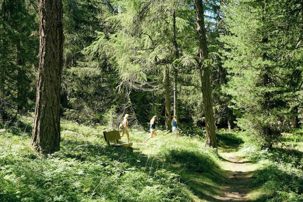 Hiking