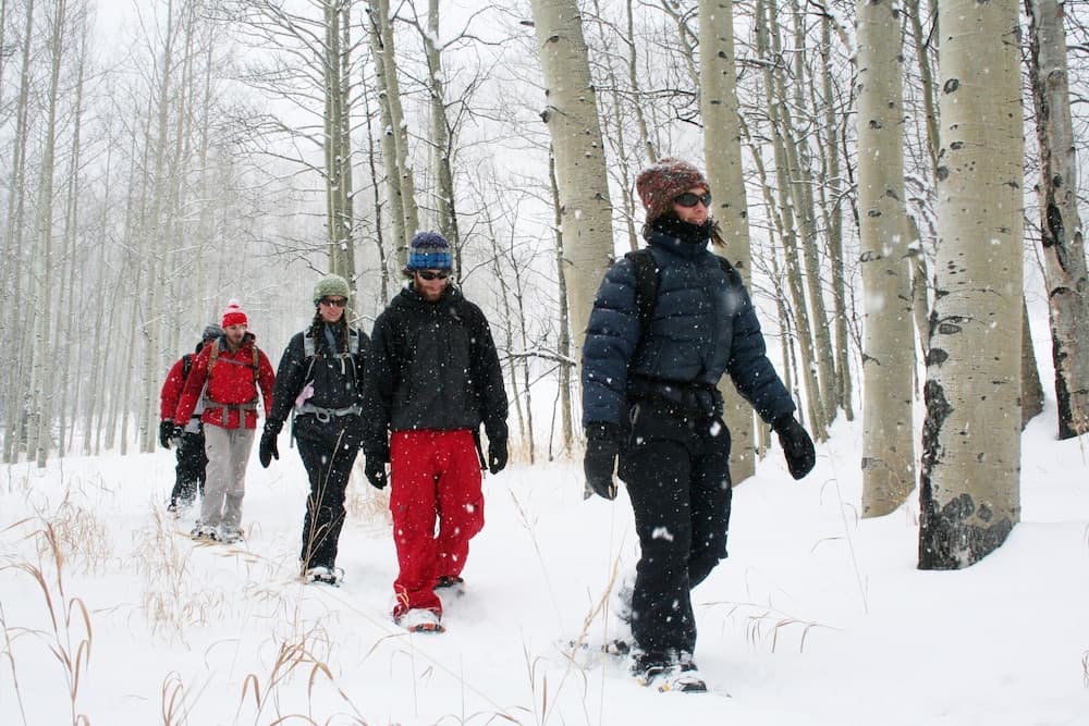 Snowshoeing